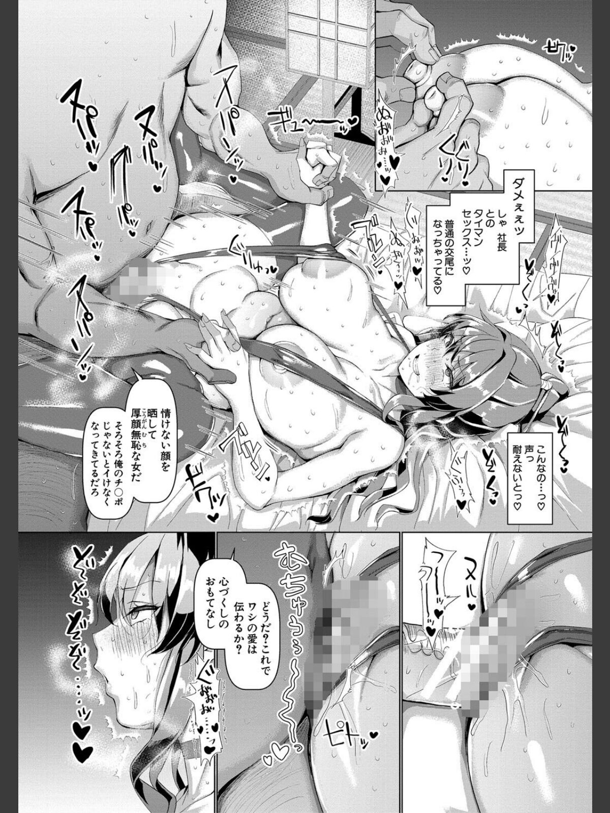 交尾のマナー その基本と原則のサンプル画像