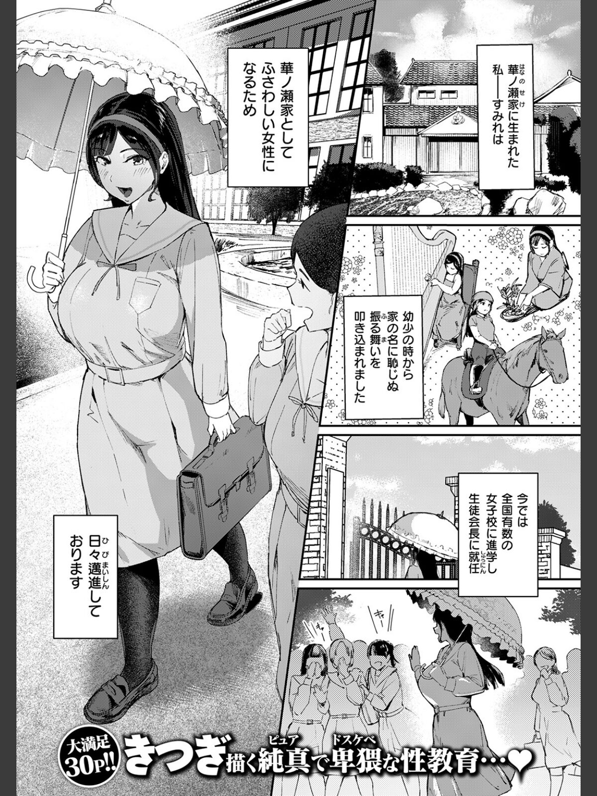お嬢様の品格のサンプル画像