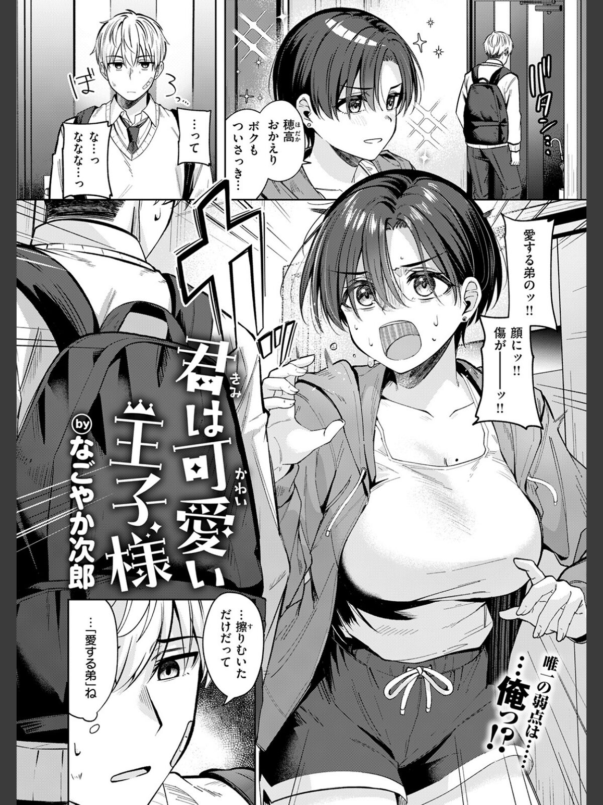 君は可愛い王子様のサンプル画像