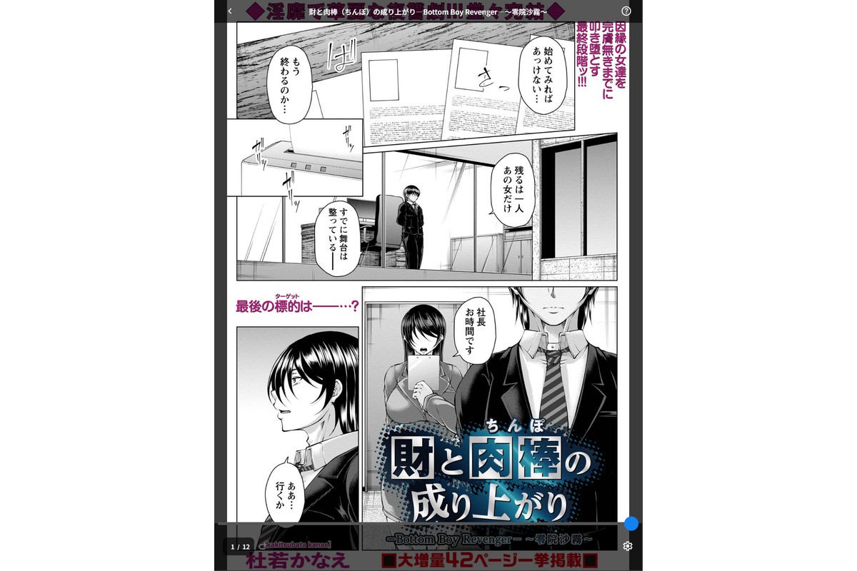 財と肉棒（ちんぽ）の成り上がり―Bottom Boy Revenger―〜零院沙霧〜のサンプル画像1