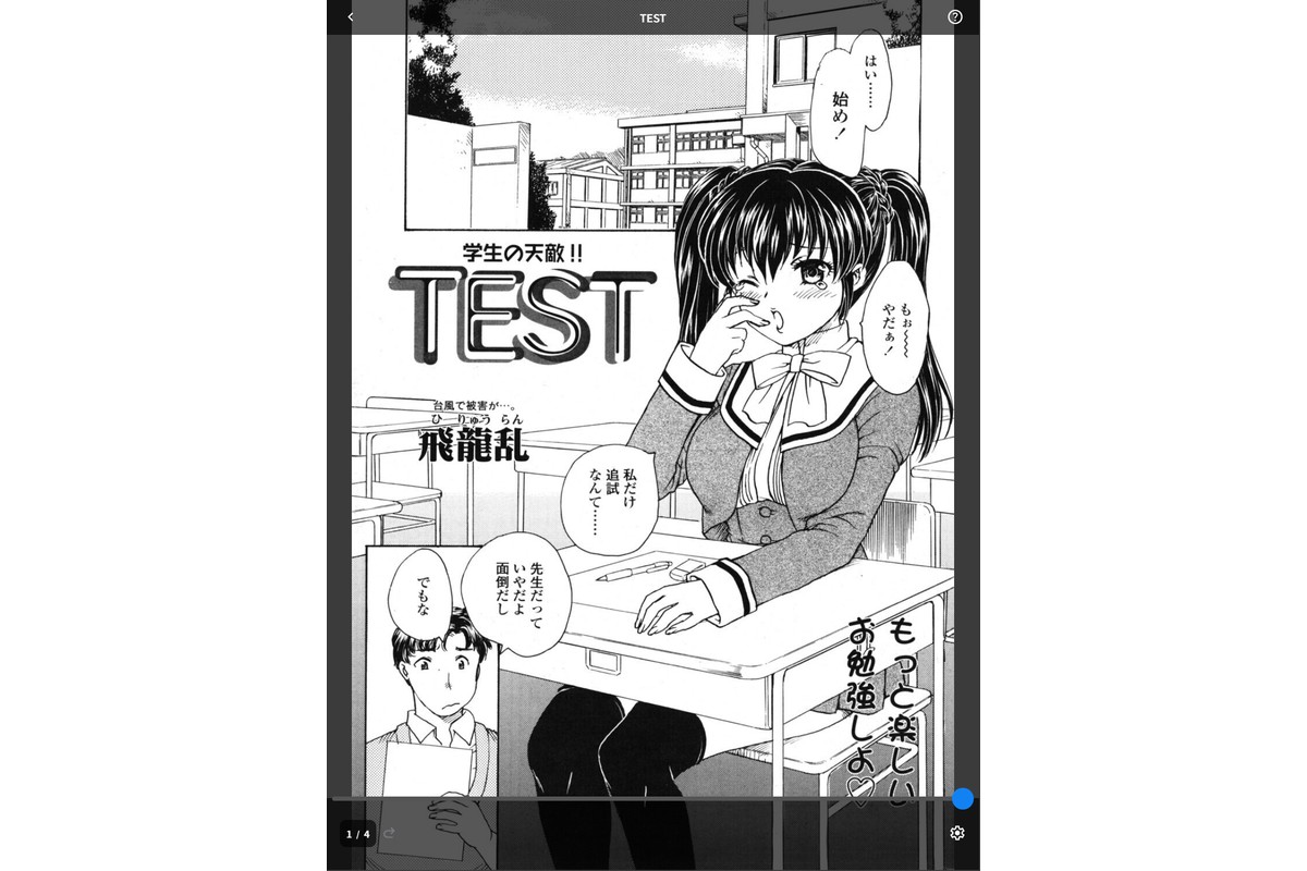 TESTのサンプル画像1