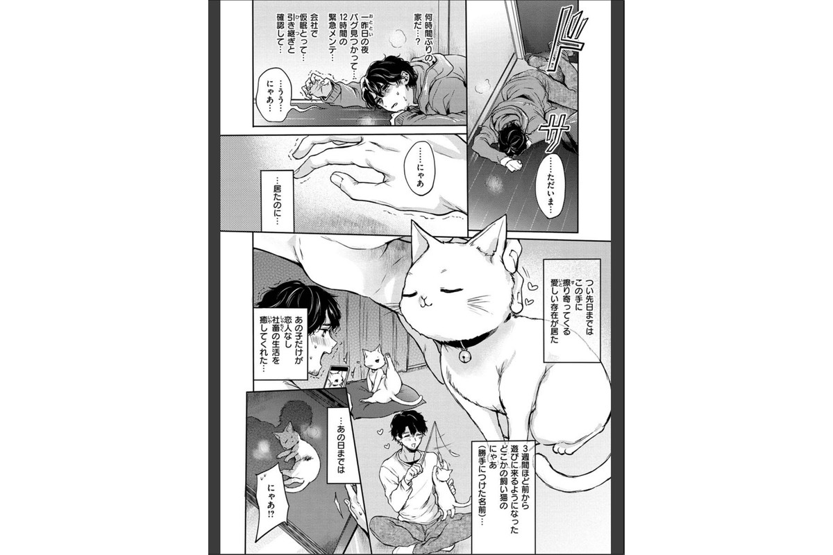 夢現ロマンティックのサンプル画像22