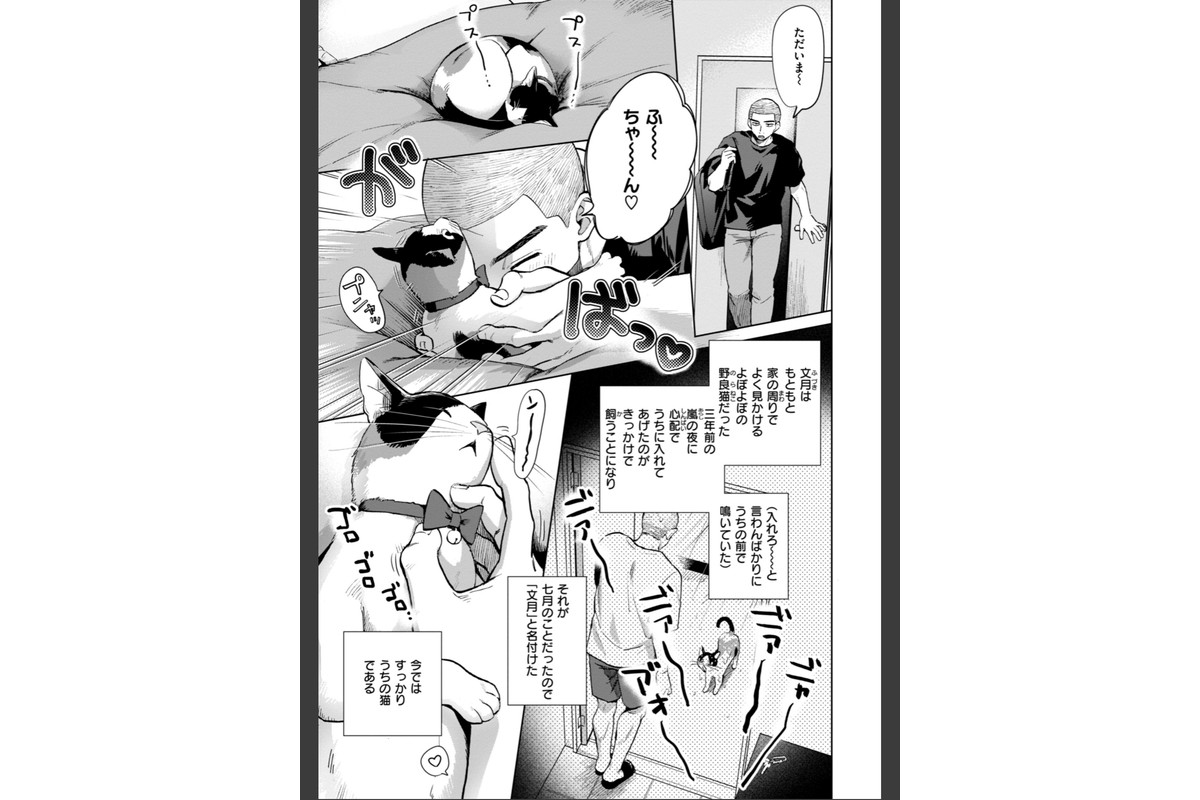 めちゃくちゃになろうよのサンプル画像15
