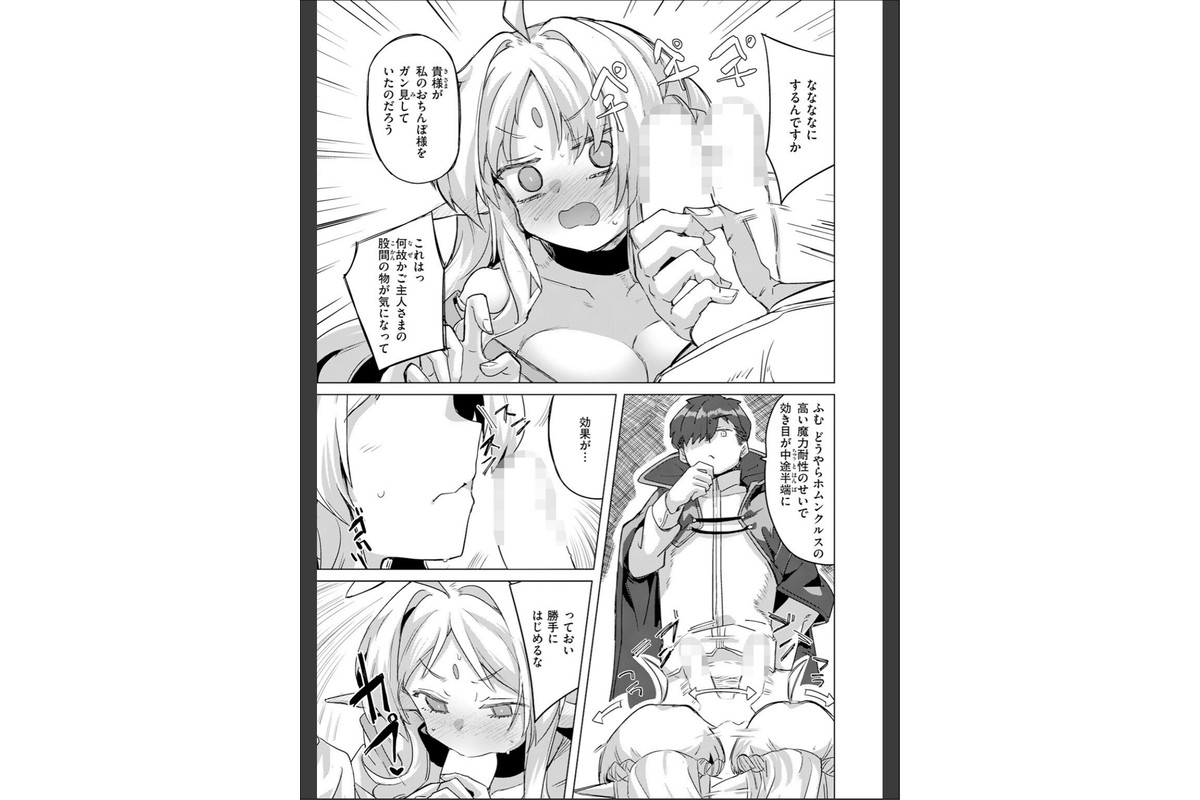 ホムンクルスの使いかたのサンプル画像9