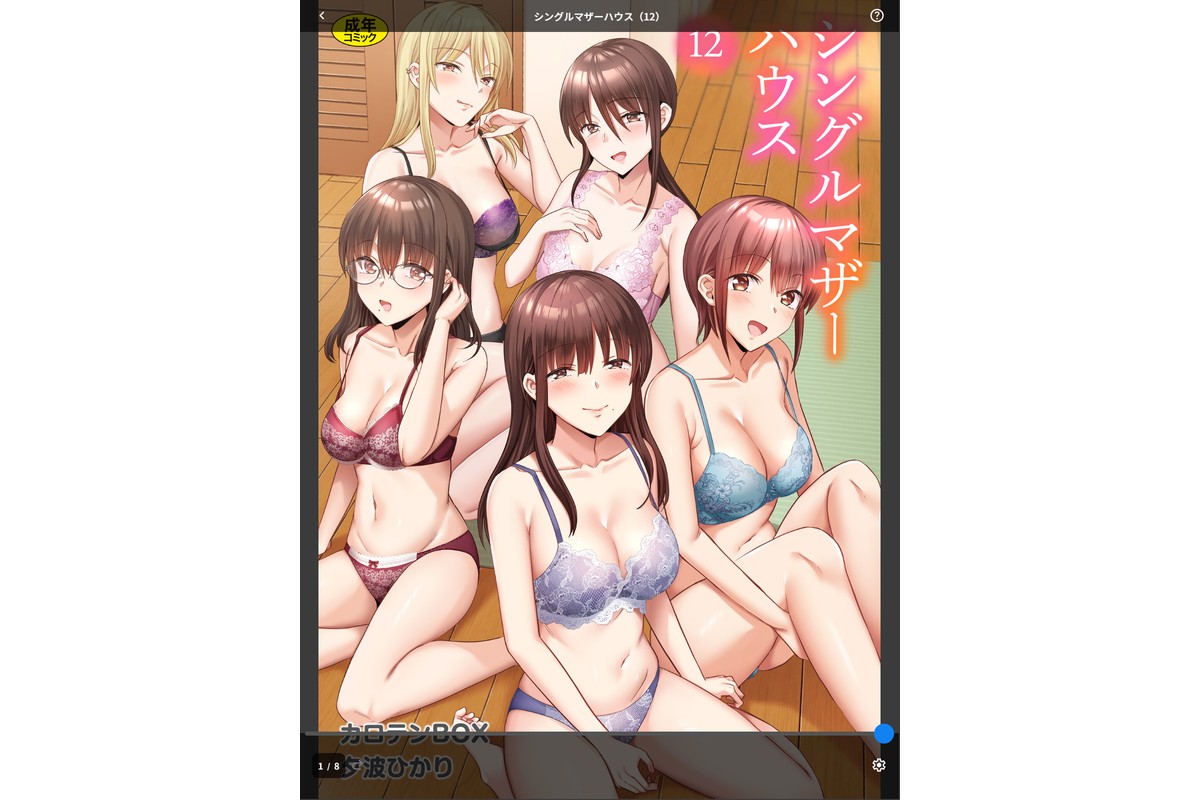 シングルマザーハウス（12）のサンプル画像1