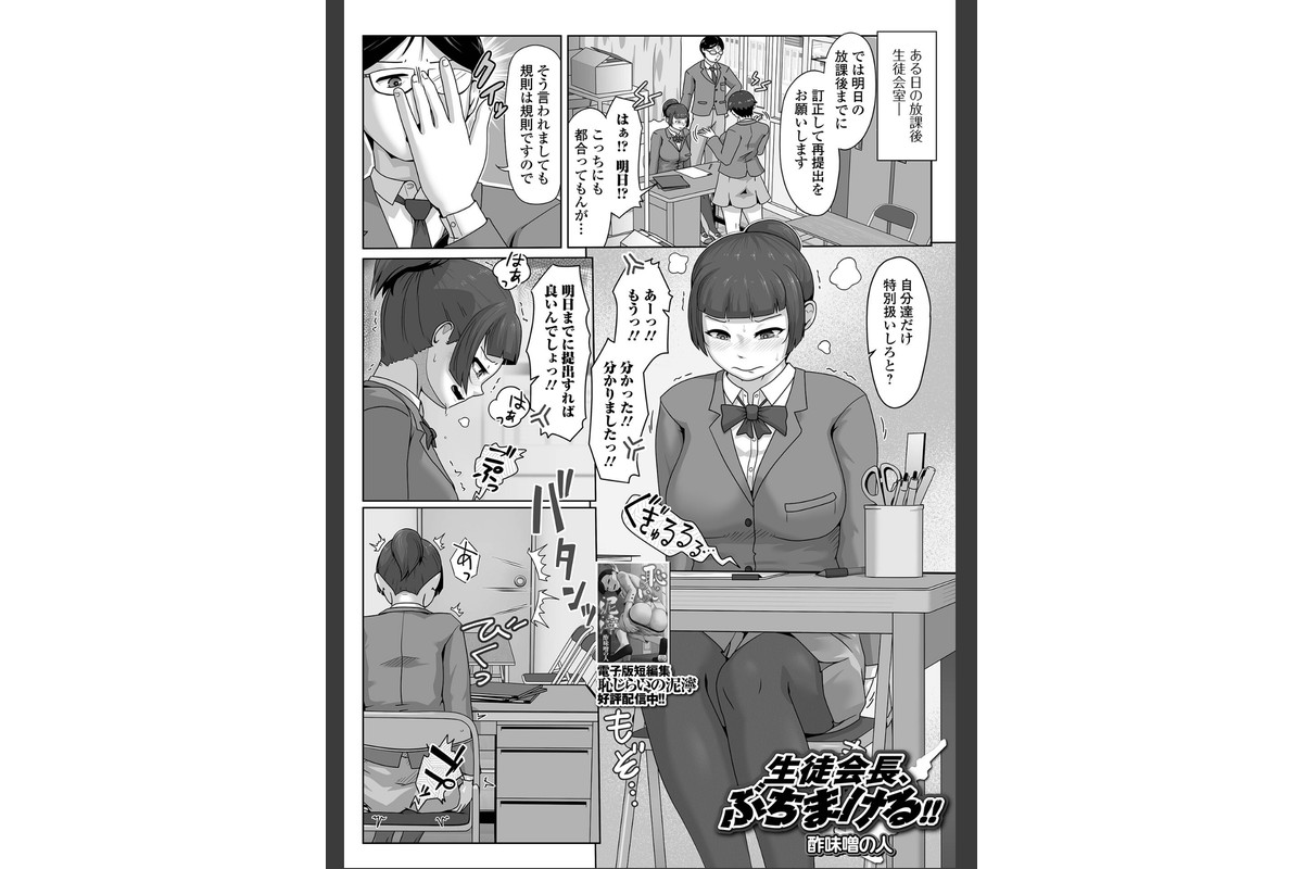 黄金のソナタXXXその二十六のサンプル画像19