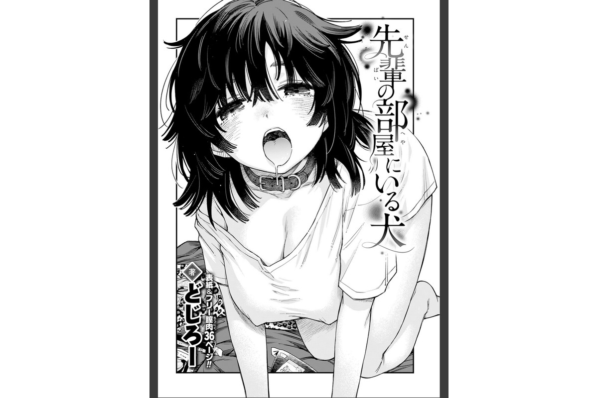 先輩の部屋にいる犬のサンプル画像4